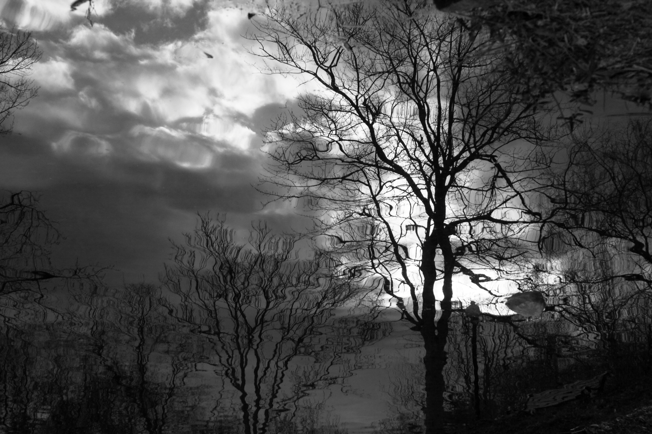 2016 01 16 HTP 000094366ebw
